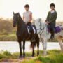 blog-4